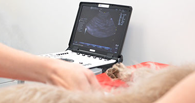 Ultrasound is available at the King Street Practice